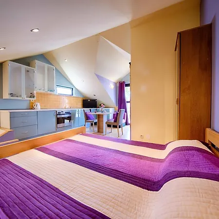 Apartment Anka *